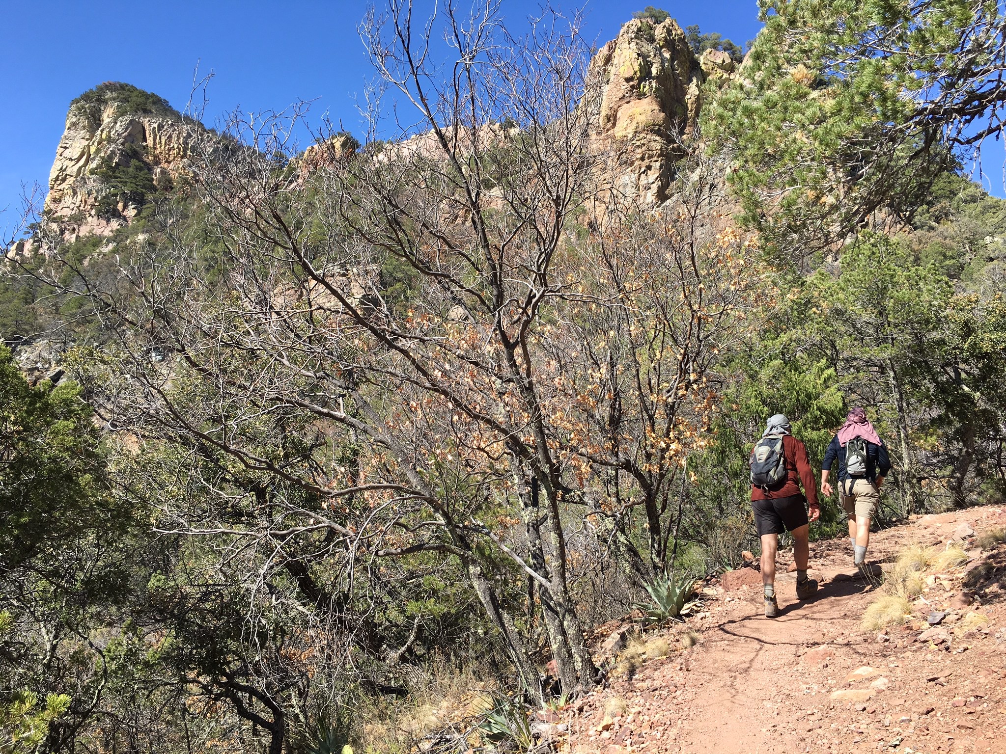 colima trail austin tyler